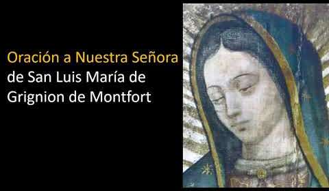 Oración a la Virgen María según San Luis Monfort: Salve María